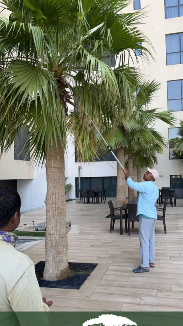 Landscape Maintenance visit